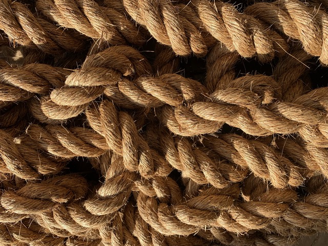 Witness 2021

National Justice Museum

natural fibre

32mm rope